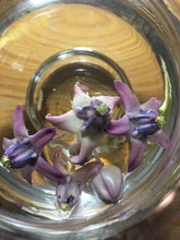 Load image into Gallery viewer, Four out of five buds opened.