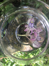 Load image into Gallery viewer, The flower cluster immediately after being placed in bowl.
